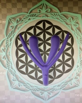 Diseño Mandala Clito